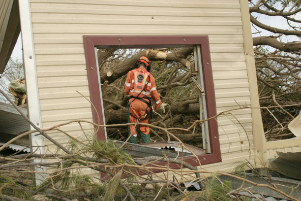 Reliable Riverside, NY Tree Services Solutions