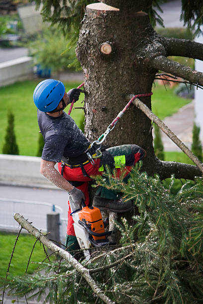 Leaf Removal in Riverside, NY